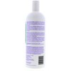 Avlon Affirm FiberGuard Normalizing Shampoo with Color Signal, 32 oz - 3 of 4
