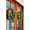 Nearly Natural 30” Pine and Pinecone Artificial Christmas Wreath on Twig Ring - 3 of 4