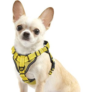 rabbitgoo Dog Harness, No Pull Dog Vest Harnesses with Bungee Handle & 2 Metal Clips, Belly Adjustable, Soft Padded for Large Medium Small Dogs - 1 of 1