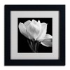 Trademark Fine Art - Michael Harrison 'Gardenia' Matted Framed Art - 2 of 3