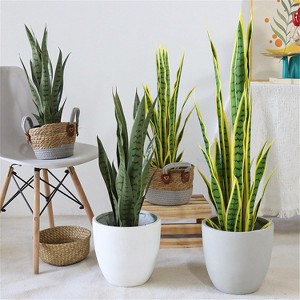 Artificial Snake Plant in Pot, Lifelike Faux Sansevieria for Home & Office Decor - Small Potted Plants for Indoor Use on Desk, Shelf - 1 of 4