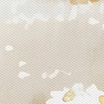 coastal white