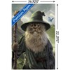 Trends International Vincent Hie - Catdalf Unframed Wall Poster Prints - 3 of 4