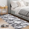 Modern Abstract Runner Rug,Washable High-Pile Non-Slip Shaggy Accent Carpet, No-Shedding Indoor Floor Cover for Hallway,Living Room, Patio - 2 of 4