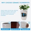 SpassWay 17" Dia Outdoor Indoor Ceramic Planter Pot Decorative Planter with Drainage Hole Patio Flower Pot - 4 of 4