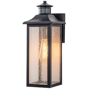 C Cattleya 1-Light Matte Black Motion Sensing Dusk to Dawn Outdoor Wall Lantern Sconce with Seeded Glass Shade - 1 of 4