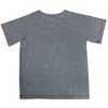 NCAA Iowa State Cyclones Toddler Boys' Poly T-Shirt - 2 of 3
