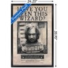 The Wizarding World: Harry Potter - Sirius Black Wanted Poster Wall Poster,  22.375 x 34 