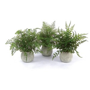 Potted Fern Plants – 14" Tall – Set of 3 Faux Green Ferns in Grey Pots for Indoor or Covered Outdoor Use By Melrose - 1 of 3