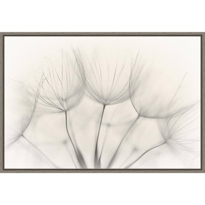 23" x 16" Floral Wisps by Jakob Arnholtz Framed Wall Canvas - Amanti Art