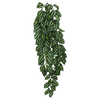 Multipet 48593306: Komodo Two-Toned Leaf Hanging Plant, Lg