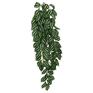 Multipet 48593306: Komodo Two-Toned Leaf Hanging Plant, Lg - 1 of 1