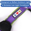 Pawtitas Padded Dog Harness Adjustable, Reflective, No-Pull Pet Harness  Secure & Comfortable Fit - 4 of 4