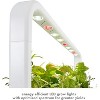 Click & Grow Indoor Steak Seasoning Gardening Kit, Smart Garden 9 with Grow Light and 36 Plant Pods - 4 of 4