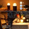 Runesay G40 Replacement Bulbs Night Light Bulbs Small Edison Light Bulb Base Sizes Chart Mini Globe Low Watt Light Bulbs 1W(10W Equivalent),2 Pack - 4 of 4
