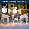 Joyfy 3 Packs Christmas Reindeer Family Set Yard Light Decorations with LED Lights and Stakes for Christmas Eve Night Indoor Outdoor Holiday Decor - 3 of 4