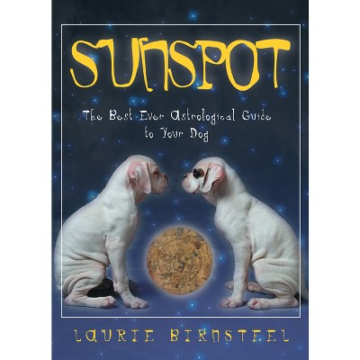 Sunspot - by  Laurie Birnsteel (Paperback)
