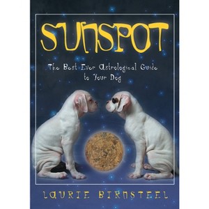 Sunspot - by  Laurie Birnsteel (Paperback) - 1 of 1