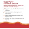Pure Synergy SuperPure® Fucoidan – Organic Seaweed Extract for Immune & Cellular Health | 60 Capsules - 4 of 4