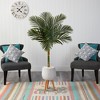 Nearly Natural 5-ft Golden Cane Artificial Palm Tree in White Planter with Stand - 3 of 4