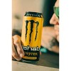 Monster Rehab, Tea + Lemonade - 15.5 Fl Oz Can : Target