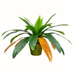 Northlight Two-Tone Bird Nest Fern Artificial Potted Plant - 22" - Green and Brown - 1 of 4