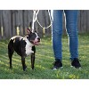 Country Brook Petz Deluxe Nylon Dog Leash, 6 Foot - 4 of 4