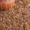 Leather Shag LSG601 Handwoven Rugs - Safavieh - 4 of 4