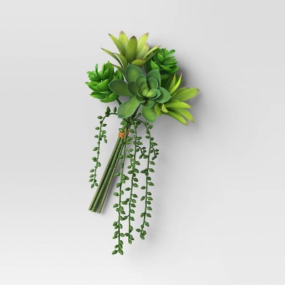 Succulent Mini Bundle - Room Essentials™