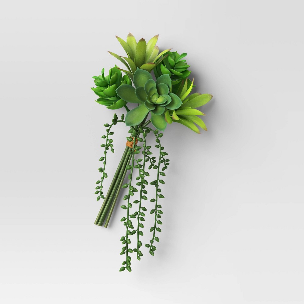 Succulent Mini Bundle - Room Essentials™