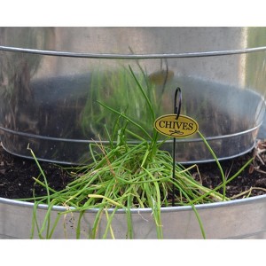 Bosmere Set of 8 Brass Herb Tags with 10" Stakes - 1 of 1