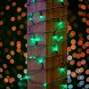 Novelty Lights 50 Light LED Christmas Mini Light Set (Brown Wire, 25 Feet) - 3 of 4