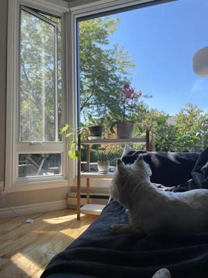 Guest review image 1 of 1, zoom in