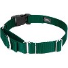 Country Brook Petz Heavy Duty Nylon Martingale Dog Collar with Deluxe Buckle - 30+ Vibrant Color Options - 4 of 4