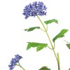 Northlight Queen Anne's Lace Artificial Spray - 30" - Blue - 4 of 4