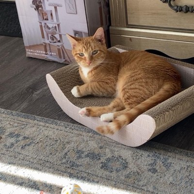 Guest review image 1 of 1, zoom in