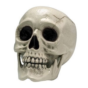 Joyfy Halloween Skeleton Decorations 7.5" Plastic Skull Human Head Bone Indoor Outdoor Decor Spooky Scene Party Favors Haunted House Graveyard Props - 1 of 4