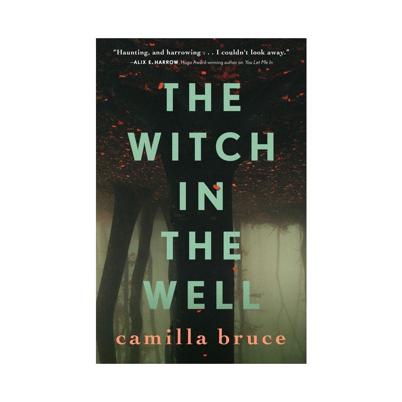 The Witch in the Well - by Camilla Bruce, 1 of 2