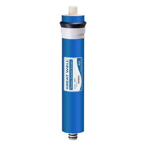iSpring MC5 Greatwell RO Membrane 50 GPD Fits Standard Under Sink RO ...