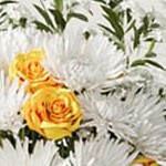 black and white wood grain