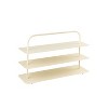 happimess Minimalist 24.5" 9-Pair 3-Tier Iron Thin Flat Plate Shoe Rack - image 2 of 4