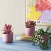 Succulent Multipack Plant Pink - Room Essentials™ - 2 of 4