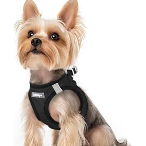 rabbitgoo Small Dog Harness, Step-in Soft Mesh Reflective Pet Harness for Small Sized Dogs, Black XS - 1 of 1