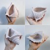 JDICTION Silicone Mold for Resin and Concrete, Large Conch Shell Tray Mold for Candle Vessels, Jewelry Holder, Marine Theme Home Decor Gift - 2 of 4