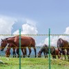 VEVOR Electric Fence Wire, Portable Polywire, 1640Ft 500M 6 Stainless Steel Strands, Fencing Rope Line - 2 of 4