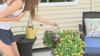 Colorful Mosaic Glass and Terracotta Self-Watering Globe for Plants