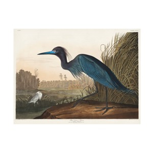 Pictufy   'Blue Crane or Heron From Birds of America 1827' Canvas Art - 1 of 4
