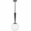 Lark Izzy 1 - Light Pendant in  Black - 3 of 4