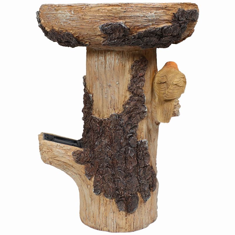 Sunnydaze Staked Country Tree Stump Bird Bath with Solar Lighted Address Plate - 15.5", 2 of 14