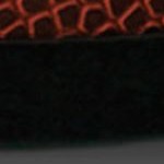 new england patriots